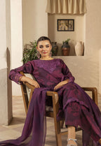 Husn By Polawn Embroidered Stitched 3 Piece Lawn Suit PD-25-422-A-Ready to Wear