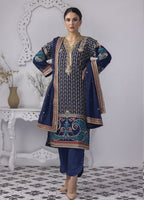 Embroidered Stitched 3 Piece Chiffon Suit PD-23-105 Ready to Wear