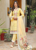 Embroidered Stitched 3 Piece Lawn Suit PD-24-301 - Ready to Wear
