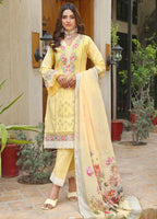 Embroidered Stitched 3 Piece Lawn Suit PD-24-301 - Ready to Wear